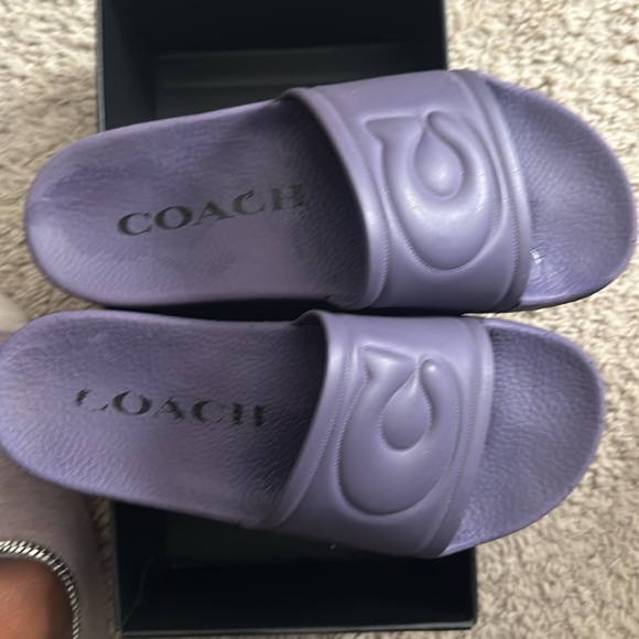 Coach slides - Picture 4 of 5